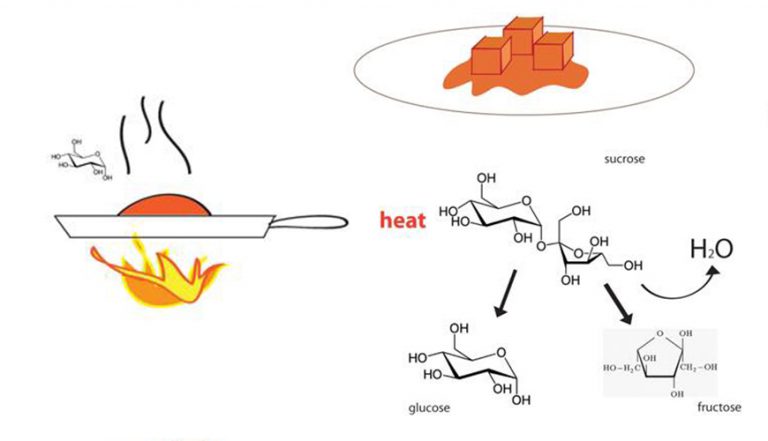Caramelization & Maillard Reaction | SCITH