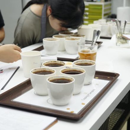 Basic Cupping 21 July 2020