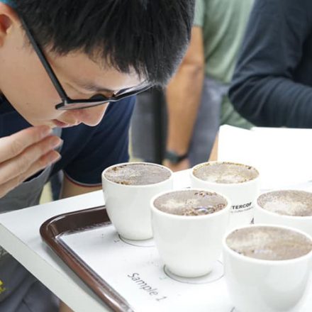 Basic Cupping&Sensory 25 August 2020
