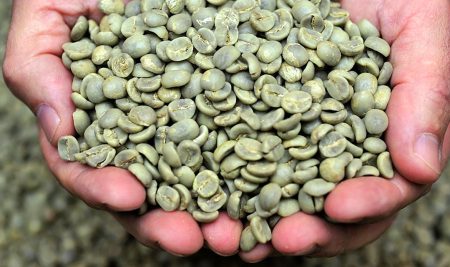 Understanding Water Activity in Relation to Green Coffee and Quality Control