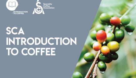 SCA Introduction to Coffee