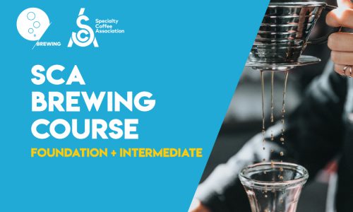 SCA Brewing Foundation + Intermediate