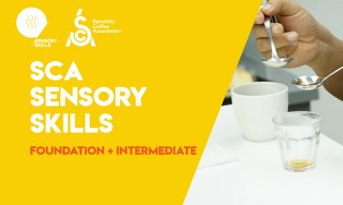 SCA Sensory Skills Foundation + Intermediate