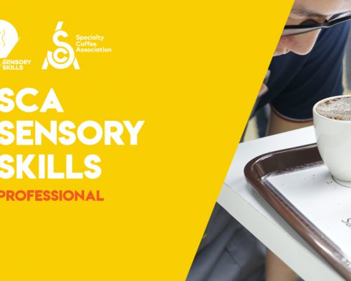 SCA Sensory Skills Professional