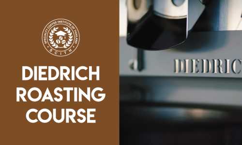 Diedrich Roast Profiling – Variable control