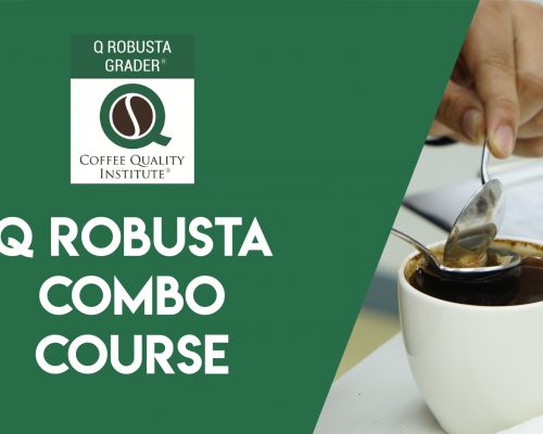 Q Robusta Combo Course