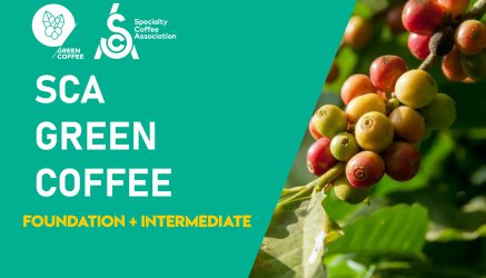SCA Green Coffee Foundation + Intermediate
