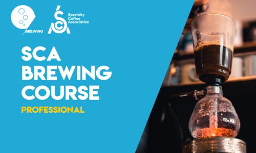 SCA Brewing Professional