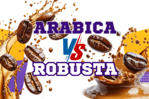 Arabica