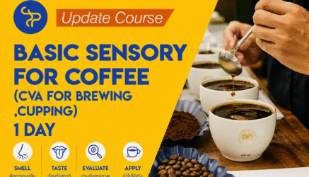 Basic Sensory for Coffee – (CVA for Brewing , Cupping)