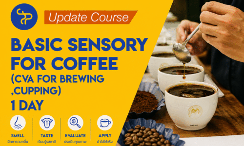 01bc4ad0-91e5-4b0c-ab70-55d15da91f88 Basic Sensory for Coffee – (CVA for Brewing , Cupping)
