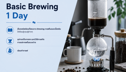 Basic Brewing
