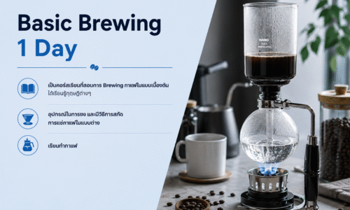 Basic Brewing